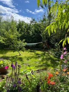 Rosa's zonnige huisje bij duinen bos en strand外面的花园