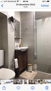 een badkamer met een douche, een wastafel en een toilet bij Tannenhof in Semmering