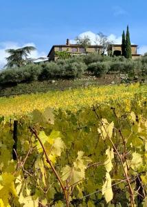 A garden outside Capannelle Wine Resort