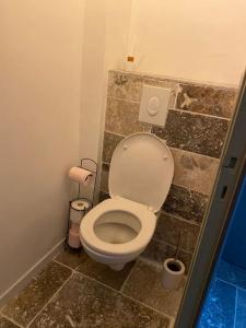 La salle de bains est pourvue de toilettes et de carrelage. dans l'établissement Saint-Laurent-20 min Lyon-proche Aéroport-Eurexpo, à Saint-Laurent-de-Mure