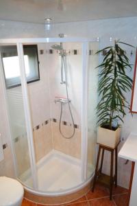 a shower in a bathroom with a plant in it at Bijzonder chalet An der Marina met sauna in Anjum
