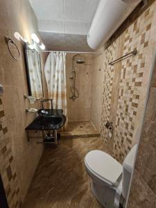 a bathroom with a toilet and a sink and a shower at Afrodita Apartments 2 in Sinemorets