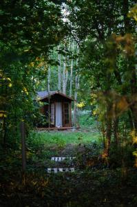 une petite cabine au milieu d'une forêt dans l'établissement Jausa metsamaja, à Jausa