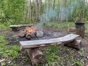 un pozo de fuego y un banco en el bosque en Jausa metsamaja en Yauza