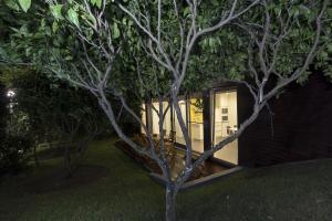 a small house with a tree in the yard at Quinta das Rosas Villas in Ribeira Grande