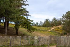 a fence on the side of a hill with trees at Appartement vue mer 50m de la plage in Saint-Hilaire-de-Riez