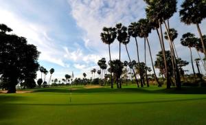 un campo da golf con palme e un putting green di Centro Guest House a Siem Reap
