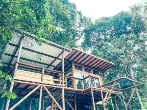 une cabane dans les arbres au milieu de la forêt dans l'établissement La Chagra VIP, à Villavicencio