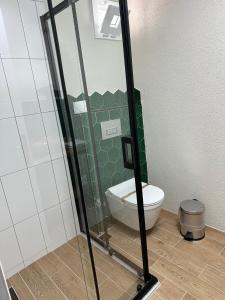 a bathroom with a toilet in a shower stall at Kingway Suite in Nusratlı