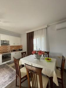 Kuchyň nebo kuchyňský kout v ubytování Villa Kapllani