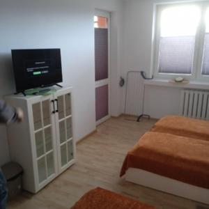 - un salon avec une télévision et un lit dans l'établissement Hostel Reja 54A, à Suwałki