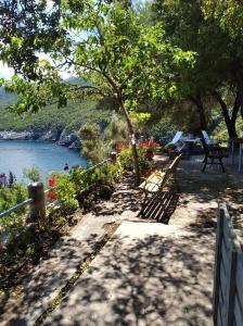 a path next to a river with benches and flowers at Ioanna's house #dialiskari1# in Limnionas