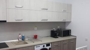 a kitchen with a microwave and a sink at Pensiunea LOTUS Smardan 