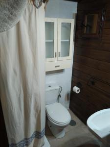 een badkamer met een toilet en een douchegordijn bij Alojamiento Rural Huerto del Francés Dormitorios y baños disponibles según nº de huéspedes in Pegalajar