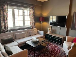 uma sala de estar com um sofá e uma televisão em Trysil-Knut Hotel em Trysil