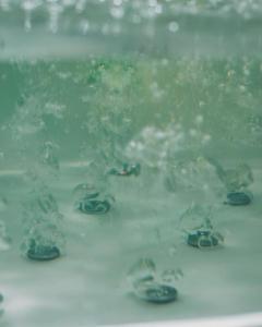 un groupe de grenouilles nageant dans l'eau dans l'établissement Borgo I Tre Baroni - Spa Suites & Resort, à Poppi