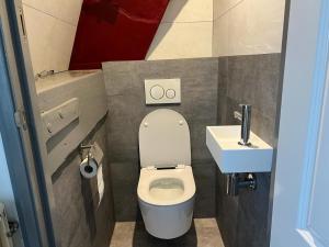 een kleine badkamer met een toilet en een wastafel bij De Ouwe Meulen in Bleskensgraaf