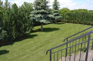 a view of a yard with a fence and trees at Villa Nova in Hévíz