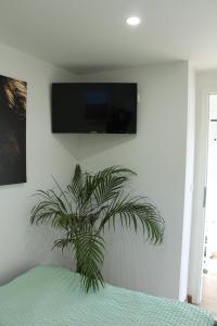 a plant in a bedroom with a tv on the wall at Hausboot - Nordsonne 11 in Wangerland