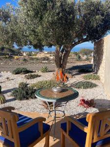 een tafel en twee stoelen voor een boom bij Villa vue mer et campagne in Essaouira