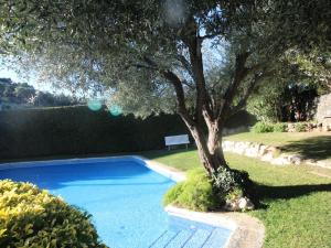 Bazén v ubytovaní CEL 103 Apartamento luminoso y sencillo en residencial ajardinado con piscina comunitaria - ES-228-22 alebo v jeho blízkosti