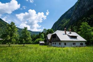 une ancienne maison dans un champ dans les montagnes dans l'établissement Traditional homestead Guhar in Radovna, à Mojstrana