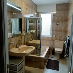 bagno con lavandino, servizi igienici e specchio di Tu Apartamento Ideal a Ponferrada