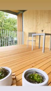 two plants in white pots on a wooden deck at Haus Olga in Hörbranz