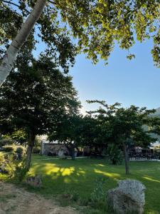 a park with trees and green grass and rocks at A Machja in Olmiccia