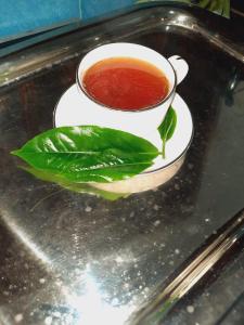 - une tasse de thé sur un plateau avec une feuille verte dans l'établissement Mellows Home, à Horana