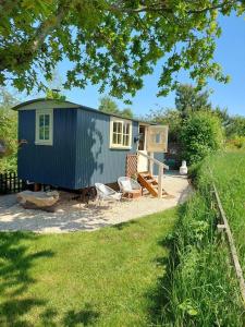 伍勒的住宿－The Humble Hut，蓝色的小房子,前面有一只狗