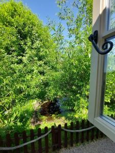 a window with a view of a yard with trees at The Humble Hut in Wooler