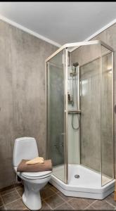 La salle de bains est pourvue d'une douche et de toilettes avec une porte en verre. dans l'établissement Sentralt leilighet ved kaldnes, à Tønsberg