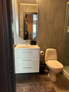 La salle de bains est pourvue d'un lavabo, de toilettes et d'un miroir. dans l'établissement Sentralt leilighet ved kaldnes, à Tønsberg