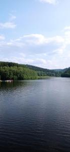a large body of water with trees in the background at Jugendstilvilla voll renoviert in Falkenstein