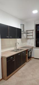 a kitchen with a sink and a stove at Jugendstilvilla voll renoviert in Falkenstein