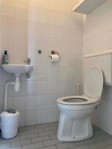 a bathroom with a toilet and a sink at Horizon 5 pers holiday home nice view close to the National Park Lauwersmeer in Anjum +31 photos