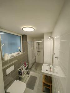 a bathroom with a shower and a toilet and a sink at Haas Apartments Slepa, city centre, parking, courtyard in Brno