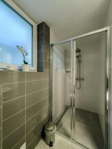 a shower with a glass door in a bathroom at Haas Apartments Slepa, city centre, parking, courtyard in Brno