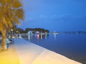 a beach with a palm tree and a body of water at Apartment Sun in Vir