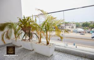 eine Reihe von Topfpflanzen, die auf einem Fensterbrett sitzen in der Unterkunft Appart Winnie/ Ramses in Cotonou