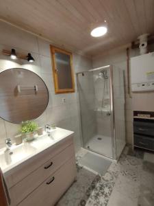 uma casa de banho com um chuveiro, um lavatório e um espelho. em Linária Vendégház em Zebegény