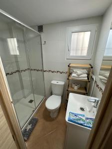 a bathroom with a toilet and a shower and a sink at Apartamento Avenida Velazquez Planta Baja in Málaga