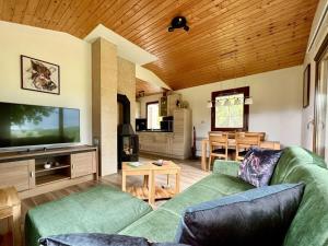 a living room with a green couch and a television at Landhaus Waidblick in Wischeid