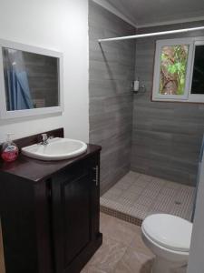 W łazience znajduje się umywalka, toaleta i prysznic. w obiekcie Apartamento La Estrella w mieście El Remate