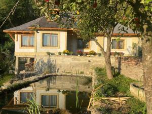 uma casa com um lago em frente a uma casa em Casa cu șindrilă em Vălenii de Munte