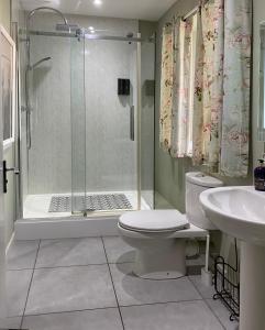 a bathroom with a shower and a toilet and a sink at Red Lion, Coorie Inn in Earlston