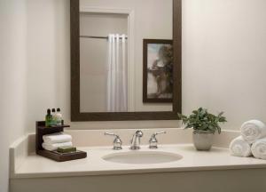 Um banheiro em Caribe Royale Orlando