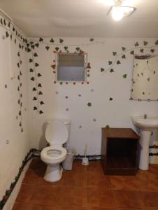 Vonios kambarys apgyvendinimo įstaigoje valle