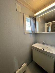uma casa de banho com um lavatório e um espelho em Granebo - Ustaoset em Ustaoset